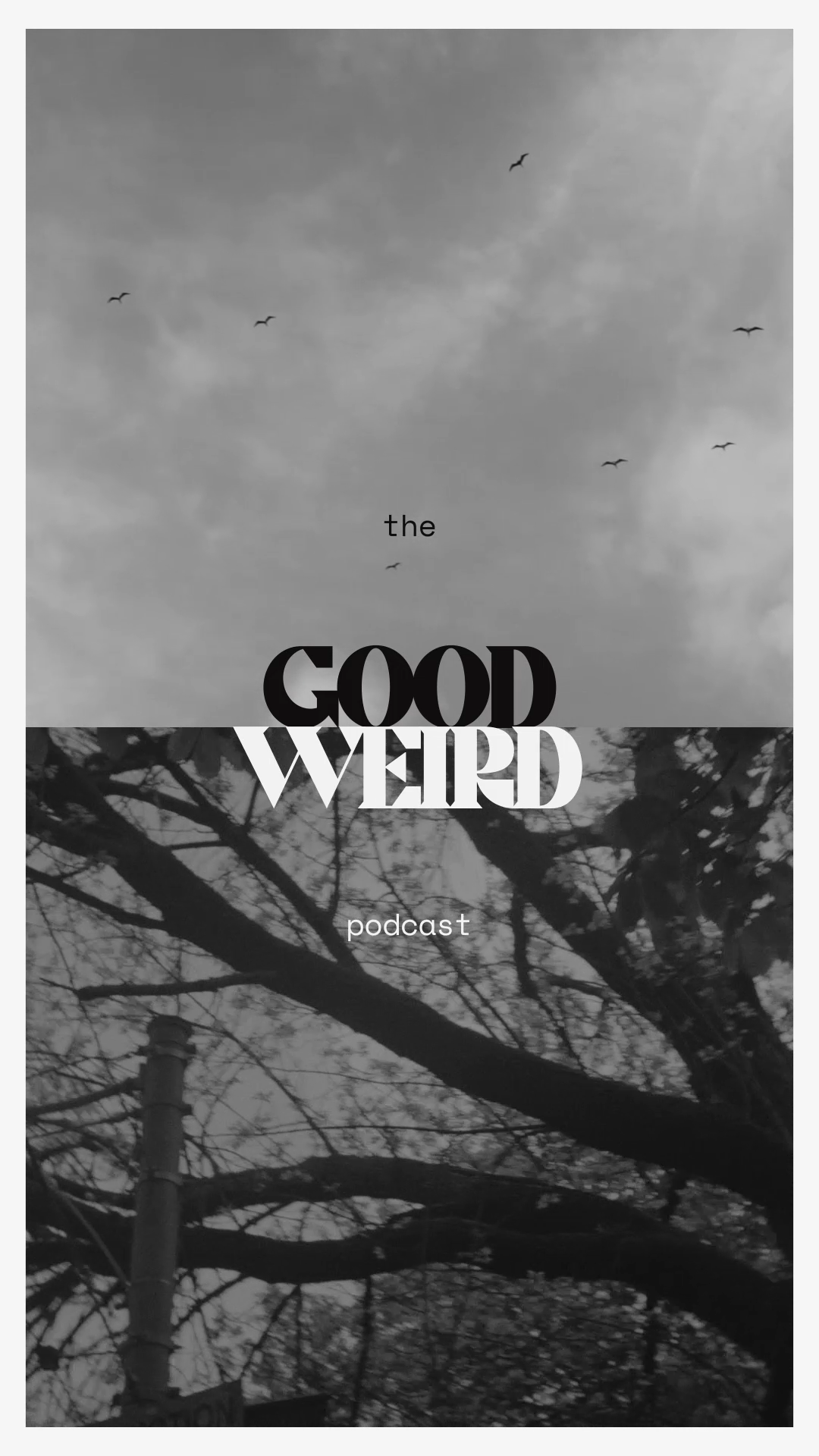 The GoodWeird Podcast